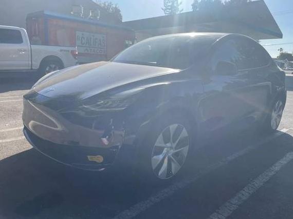 TESLA MODEL Y 2021 5YJYGDEE3MF117931 image